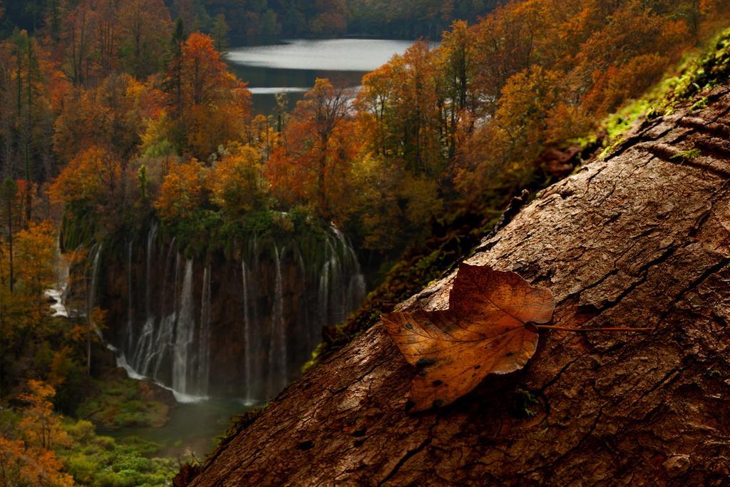 Guesthouse Villa Plitvicka Plitvička Jezera Oda fotoğraf