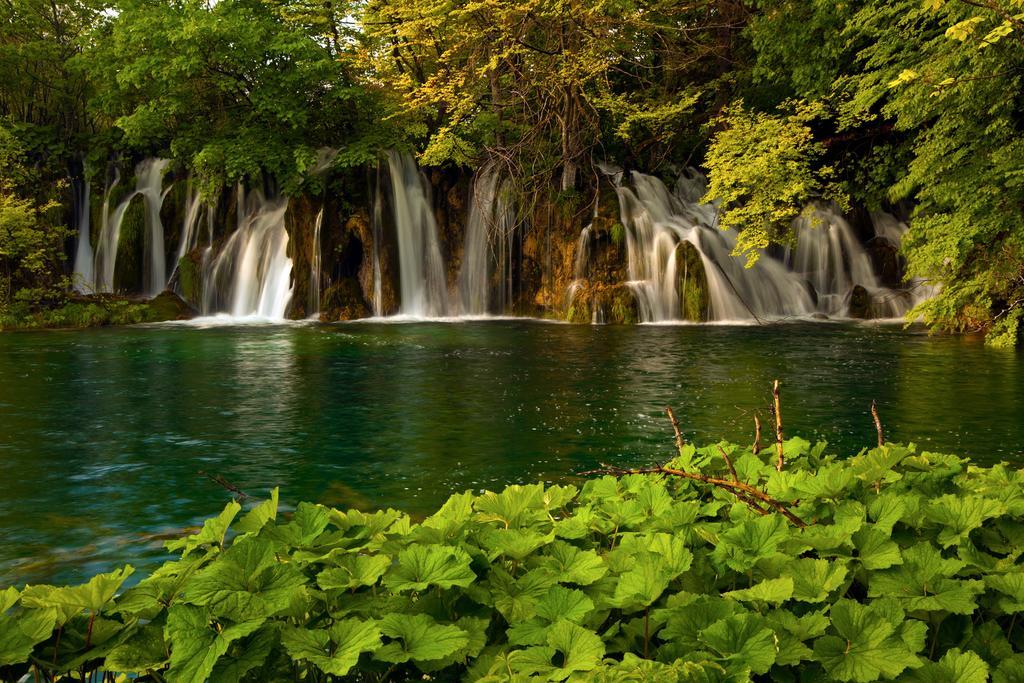 Guesthouse Villa Plitvicka Plitvička Jezera Oda fotoğraf